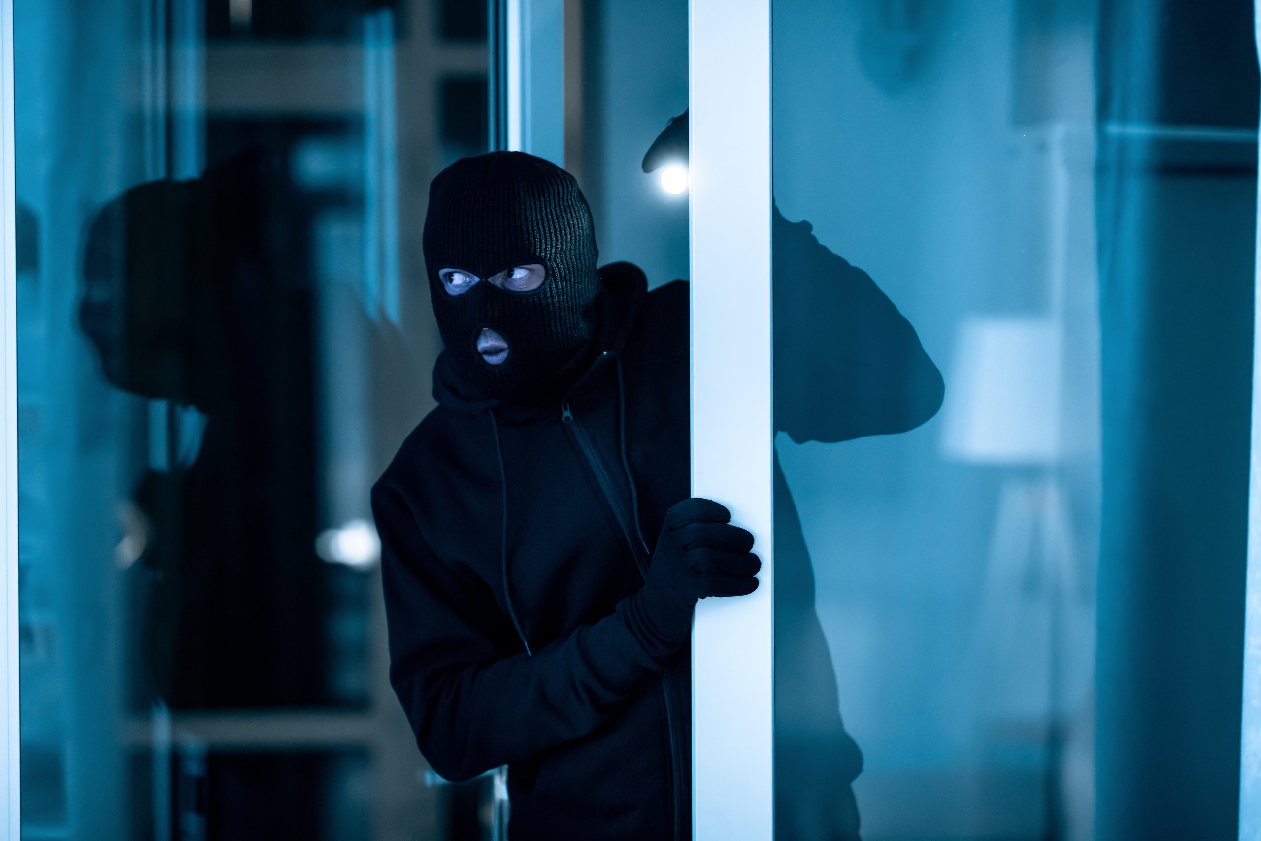 Deterring burglars